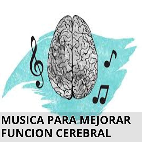 Cerebro Lucido Para Estudiar