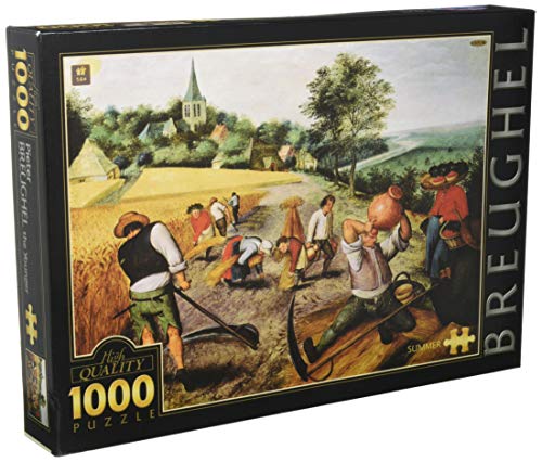 D-Toys- Puzzle 1000 Piezas 66947 BR 02, Liso.