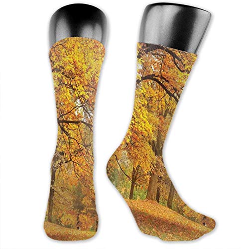 DHNKW Socks Compression Medium Calf Crew Sock,Warm Fall Scenery With Pale Maple Leaves In The Forest November Season Woodlands