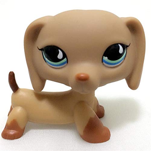 FANLLOOD New Rare Animal Pet Shop lps Toy Dachshund Dog Dachshund Brown Figure Collie Cocker Spaniel Great Dane Regalos para niños, 71