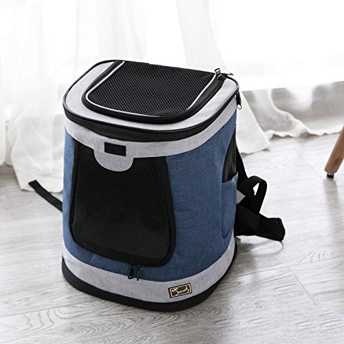 HAPPY HACHI Mochila para Perros Plegable, Bolso Transportín Gatos Transporte para Viaje Acampadas con Correa Relleno Ajustable Camiseta Transpirable