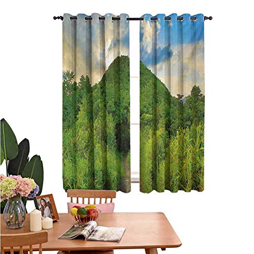 N / A Cortina Linda Naturaleza Camino de montaña Cubierto por árboles Follaje Arbustos Highland Woodland Landscape Fern Green Sky Blue Print Cortinas deslizantes para la decoración del Patio