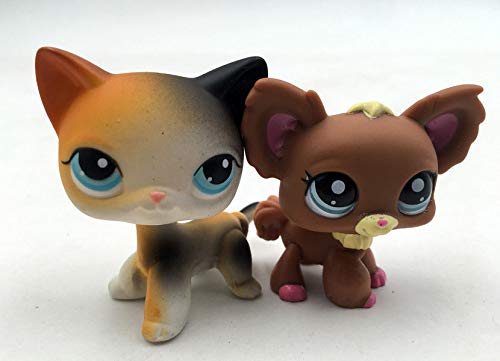 Pet Shop 2pcs Littlest LPS Rare Kitty Brown Chihuahua Dog Short Hair Cat