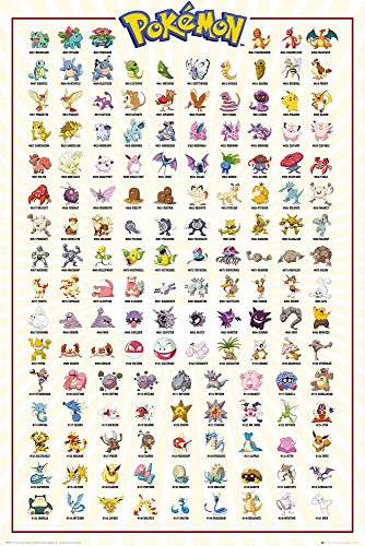 Pokèmon Póster Caractéres (61cm x 91,5cm) + 2 Marcos Transparentes con suspención