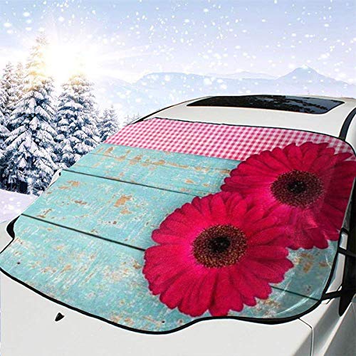 Protector de ParabrisasFlores de margarita de gerbera rosa sobre madera azul turquesa Cubierta de Parabrisas Coche Protege de Rayos Antihielo y Nieve,UV,Lluvia,Funda Plegable Delantero 147*118cm