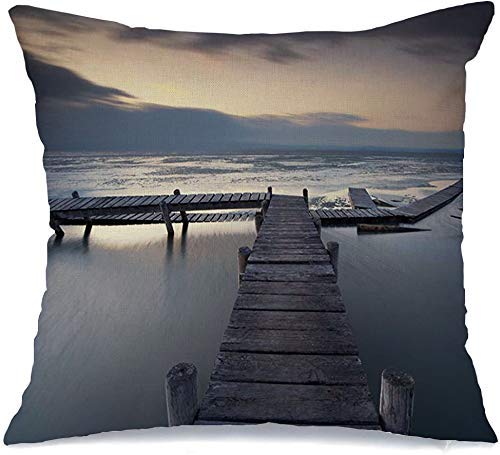 QUEMIN Funda de Almohada Neusiedler Frost in Summer Ice Old Pier Winter Austria Travel Nature Parks Sky View Outdoor Lake Cómoda Funda de cojín para Silla de Coche Sofá Cama de 45x45 cm