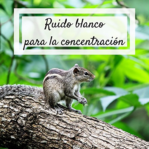 Ruido blanco para la concentracion - Música relajante con sonidos de la naturaleza para la meditacion zen, aprender, leer, atencion