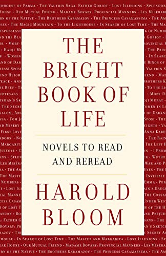 The Bright Book of Life: Novels to Read and Reread