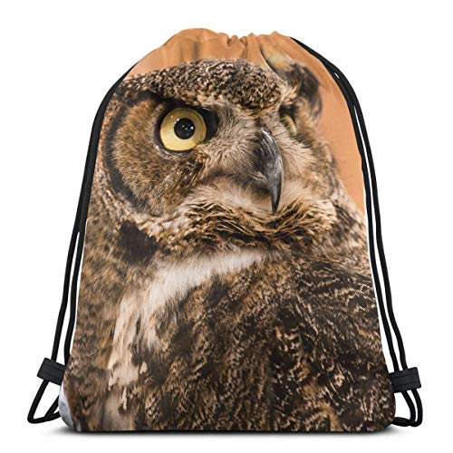 Yuanmeiju Funny Owl Drawstring Backpack Gym Dance Bags for Girls Kids Bag Shoulder Travel Bags Birthday Gift for Daughter Children Women 36 x 43cm/14.2 x 16.9 Inch