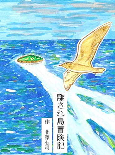 Adventure of Swept island (Adventure novel) (Japanese Edition)