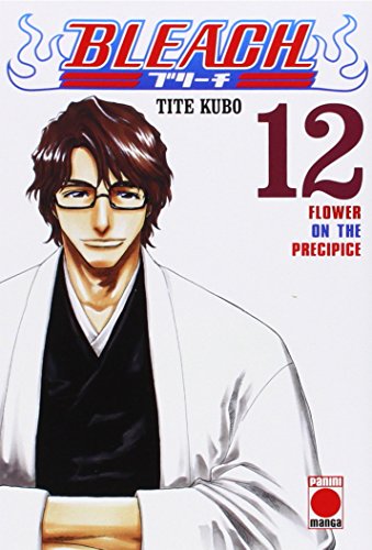 Bleach 12 (Shonen Manga Bleach)