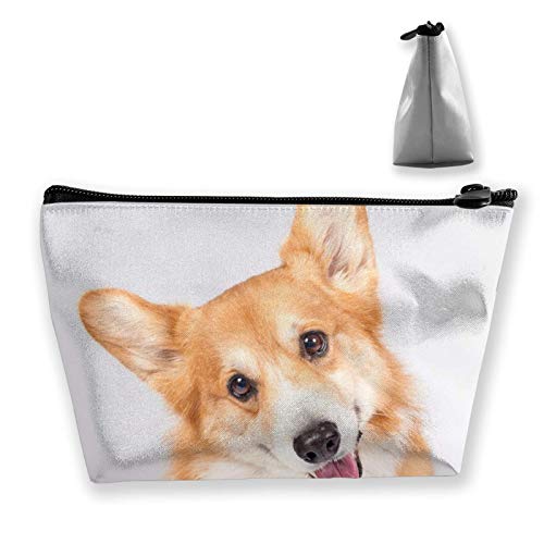 Bolsa de cosméticos para mujer, bolsa de maquillaje de viaje, mini monedero con cremallera para artículos de tocador, regalos perezosos (lindo perro corgi galés)