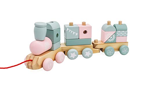 Mamabrum Tren de Madera para Niños - Juguete para Bebés a Partir de 1 Año - Juego de Arrastre para Bebé - 3 Vagones con Bloques de Construcción para Bebés y Niños - Juguete Educativo