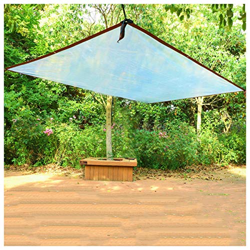 STTHOME Toldo Exterior Impermeable, Transparente Impermeable Lona de Protección Impermeable/A Prueba de Viento/A Prueba de Polvo/A Prueba de Lluvia Exterior PE Toldo (Size : 3x4m)