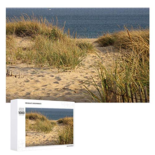 Tamengi Jigsaw Puzzle 500 Piece, Sand Dunes and Ocean View Large Puzzle Game Artwork for Adults Teens Educational Gift Home Decor