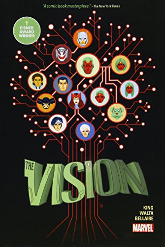 Vision (The vision)