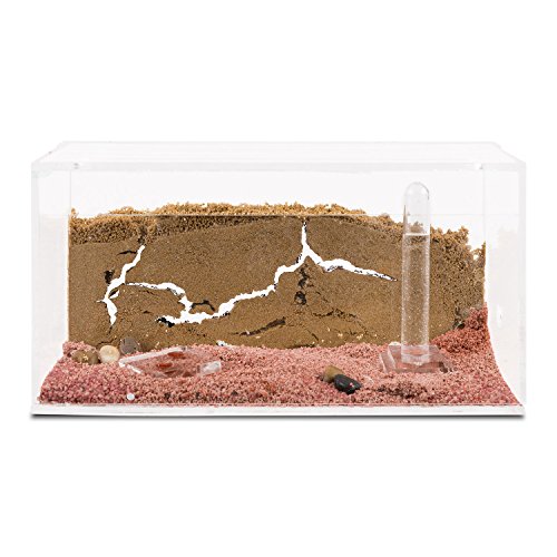 AntHouse - Hormiguero Natural de Arena - Kit Inicio Acrílico 20x10x10 cm (Hormigas Gratis)