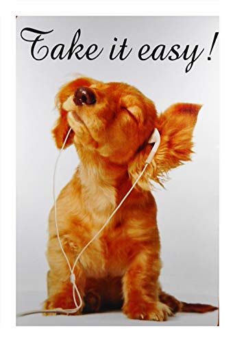 Cartel de chapa Take it Easy (30 x 20 cm), diseño de perro con auriculares