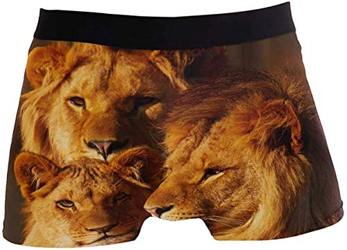 DUTRIX Lion Family - Calzoncillos Tipo bóxer para Hombre, Ropa Interior, Transpirable, elástico, Tipo bóxer con Bolsa, marrón, pequeño