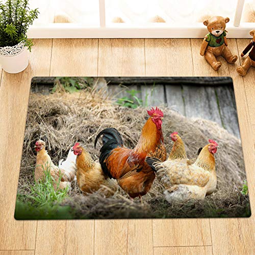 EdCott Granja Rural Hermosa gallina gallina pajar Hierba Alfombra Antideslizante Adecuado para baño Cuarto baño fácil Limpiar decoración Puerta Alfombra Alfombra Material Franela 40x60cm