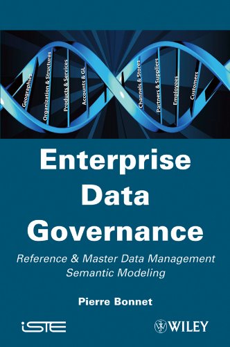 Enterprise Data Governance: Reference and Master Data Management Semantic Modeling (English Edition)