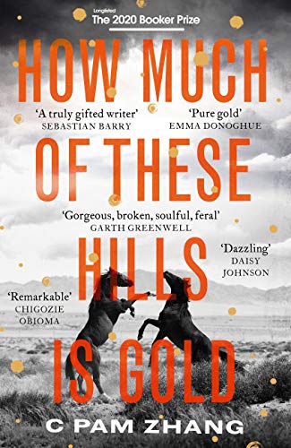 How Much of These Hills is Gold: Longlisted for the Booker Prize 2020 (English Edition)