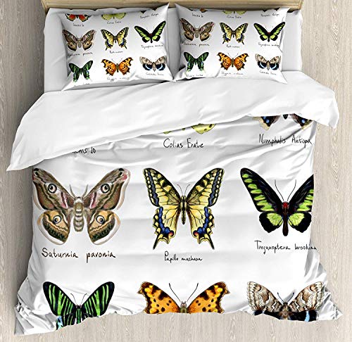 Juego de funda nórdica de mariposa, estilo acuarela de insectos de primavera Urania Helius Saturnia Pavonia Animal Design, juego de cama decorativo de 3 piezas con 2 fundas de almohada, amarillo pálid