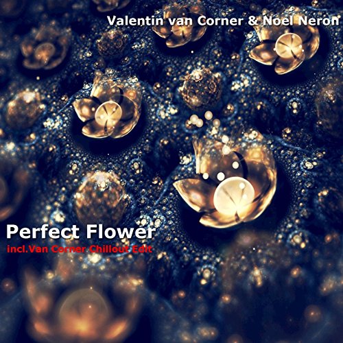 Perfect Flower (Van Corner Chillout Edit)