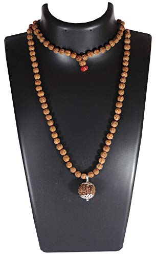 SHIVOHAM 12 Mukhi Guru Mani/Bead (5 Mukhi Rudraksha Mala 108 + 1 cuentas) Tapa plateada – Certificado de laboratorio