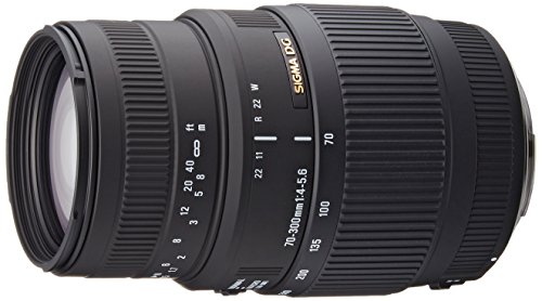 Sigma 70-300/4-5.6 Macro DG EO - Objetivo