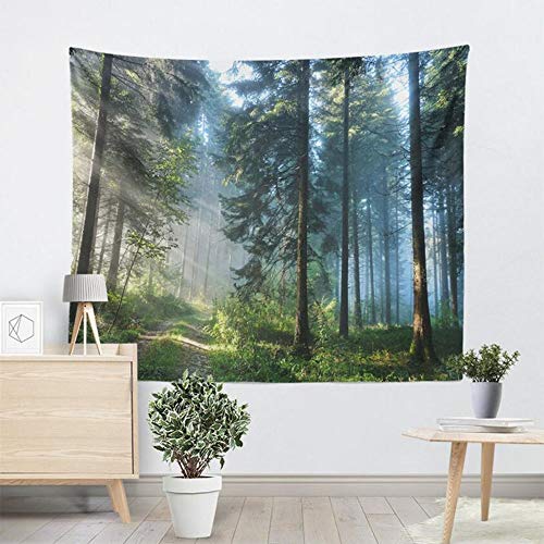 Tapiz de Bosque, Tapiz de Pared con Impresión Digital, Bosque Verde con Sol, Tapiz de Paisaje Natural, para Decoración de Dormitorio, Sala de Estar, Dormitorio (59 x 51 Pulgadas)