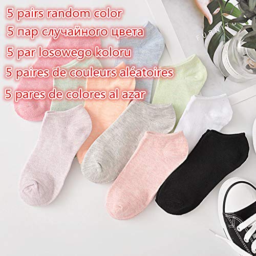 5 par/Lote Calcetines de Gato de Dibujos Animados Bonitos Calcetines de Mujer de Animales Calcetines Cortos Divertidos de Verano Calcetines de algodón para Mujer -5 Random color-35-39