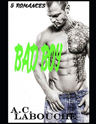 Bad Boy: 22 Stories: M/M, Bi & BBC