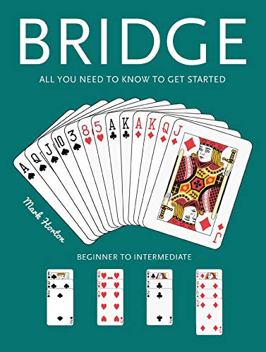 Bridge: Beginner to Intermediate (Puzzle Power)