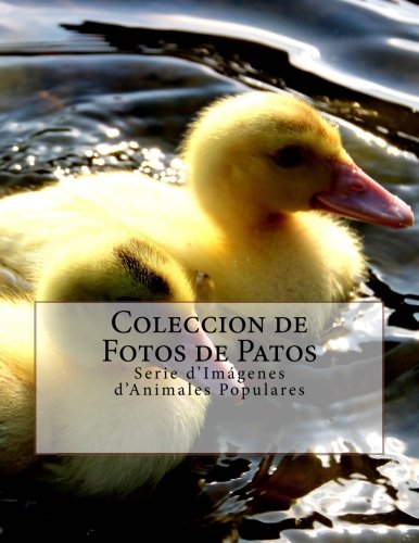 Coleccion de Fotos de Patos: Serie d'Imagenes d'Animales Populares