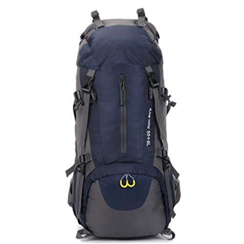 FREEDOL Mochila Montañismo para Deportes Aire Libre 60L con Soporte Metal, Mochila para Acampar, Mochila Profesional para Escalar Montañas A Prueba Lluvia, Separación En Seco Y Húmedo,Gris