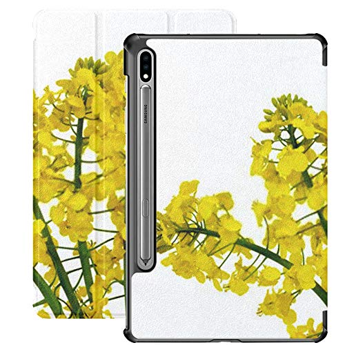 Funda Galaxy Tablet S7 Plus de 12,4 Pulgadas 2020 con Soporte para bolígrafo S, Flor de Colza Brassica Napus aislada en Funda Protectora Delgada con Soporte para Samsung