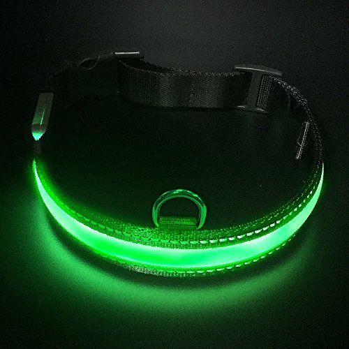 Raffaelo LED Collar para Perros, Intermitente Llevó Collar de Seguridad para Perros de LED de Nylon Luminous Que Brilla Recargable Collar Brillante de Seguridad para Los Perros (M-40-50CM)