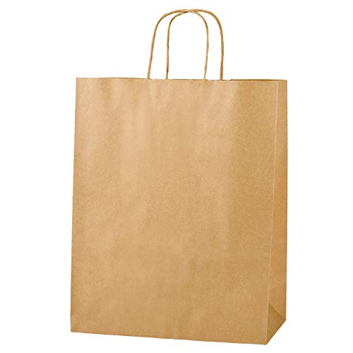 Thepaperbagstore 25 Bolsas De Papel Marrones, Reciclables Y Reutilizables, con Asas Retorcidas - Medianas - 250x110x310mm