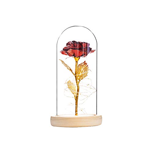 Youool Rosa Eterna Roja, Rosa La Bella y La Bestia, Elegante Cúpula de Cristal con Base Pino Luces LED, Regalo Romántico para El Día de San Valentín, Cumpleaños, Aniversario