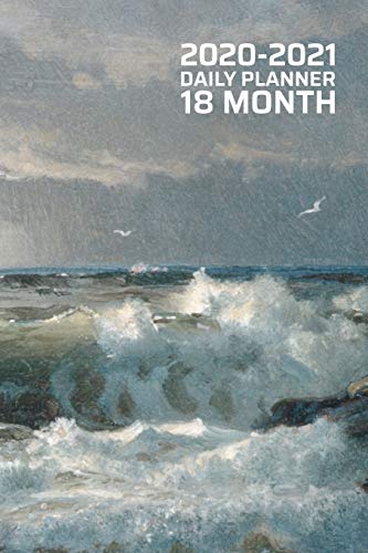 2020 - 2021 18 Month Daily Planner: Weather the Storm - Ocean Waves on Rocks - Power of the Sea | Gift for Men | January June | Daily Organizer ... Calendar Agenda Home Work Family Organizer)