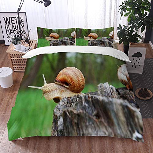 Bedding Juego de Funda de Edredón -Molusco Jardín Caracol Escalada En Tocón Antena Hierba Animales Babosa Fauna Silvestre Natur/Microfibra Funda de Nórdico (Cama 135 x 200 cm + Almohada 50X80 cm)