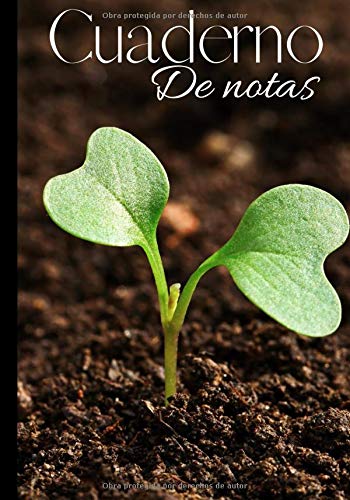 Cuaderno de notas: Original y práctico cuaderno de apuntes con rayas para el día a día - folleto para agricultores - girasol - control de cultivos | 100 páginas en formato de 7*10 pulgadas