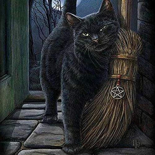 DIY Kit De Pintura De por Números De Arte Artístico Lienzo para Decoración De Pared del Hogar Principiantes Kit De Pintura 40*50 Cm -Gato Negro(Sin Marco)