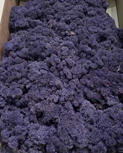 Eternaflor Musgo preservado. Paquete 500 Gramos. Color Violeta. Gratis TU ENVÍO Liquen preservado. Origen España.