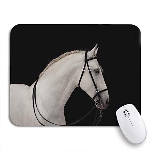 GLONLY Caballo Blanco Semental Andaluz Cabeza Negra Brida Occidental Animal,Alfombrilla Raton Alfombrilla Gaming Alfombrilla para computadora con Base de Goma Antideslizante para Laptop