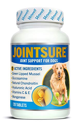 JOINTSURE condroprotector Perros| 120 Comprimidos | con mejillón de Labio Verde, glucosamina y condroitina Natural. | Este antiinflamatorio para Perros.