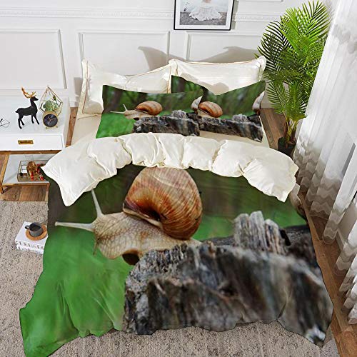 Juego de Fundas de edredón,Molusco Jardín Caracol Escalada En Tocón Antena Hierba Animales Babosa Fauna Silvestre Natur/Microfibra Funda de Nórdico (Cama 135 x 200 cm + Almohada 50X80cm)