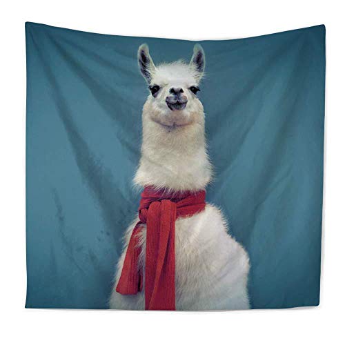 N / A Poliéster Alpaca Impreso Tapiz Tapiz Manta Colchón de Camping Mantel Almohadilla para Dormir Toalla de Playa Protector Solar Tapiz Fondo Decoración Tela A2 150x200cm