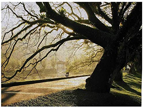 Puzzle de árbol de 1000 Piezas, Tercera Temporada del año en el Parque Hojas muertas Imagen de Temporada de otoño a Invierno, Verde Amarillo-Multi 02
